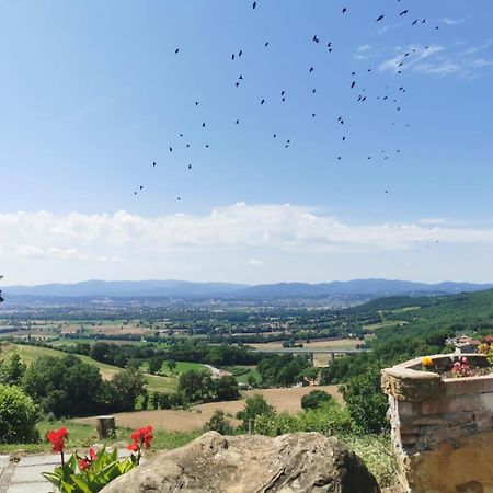 Al Podere Del Nonno Romolo سانسيبولكرو المظهر الخارجي الصورة