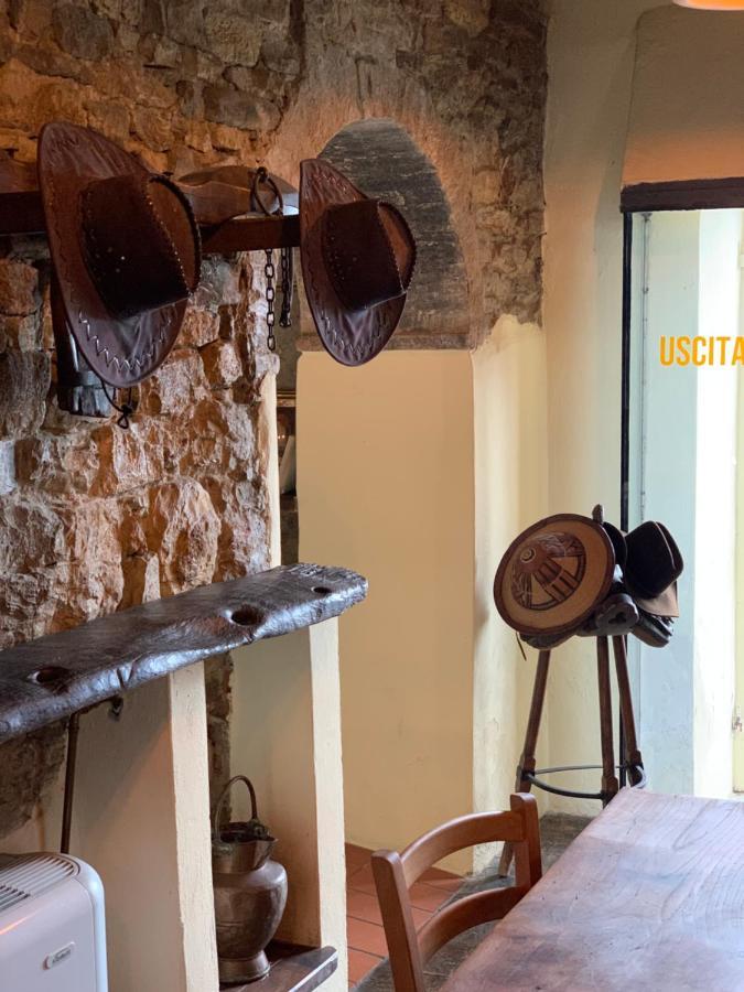 Al Podere Del Nonno Romolo سانسيبولكرو المظهر الخارجي الصورة