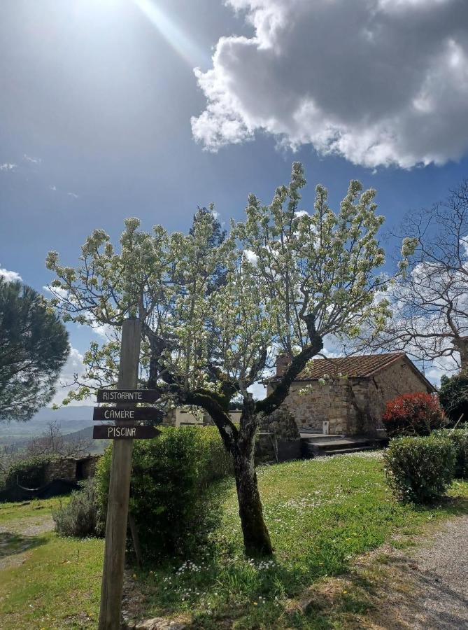 Al Podere Del Nonno Romolo سانسيبولكرو المظهر الخارجي الصورة