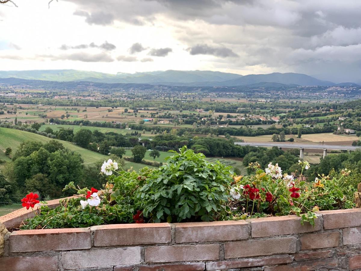 Al Podere Del Nonno Romolo سانسيبولكرو المظهر الخارجي الصورة