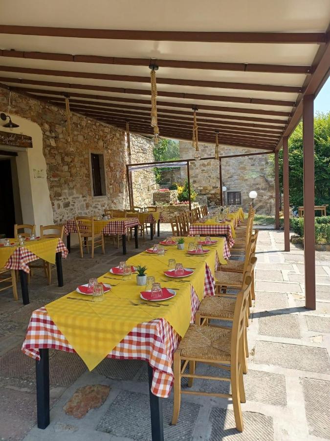 Al Podere Del Nonno Romolo سانسيبولكرو المظهر الخارجي الصورة