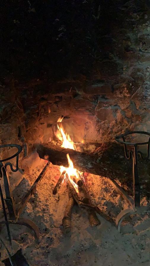 Al Podere Del Nonno Romolo سانسيبولكرو المظهر الخارجي الصورة