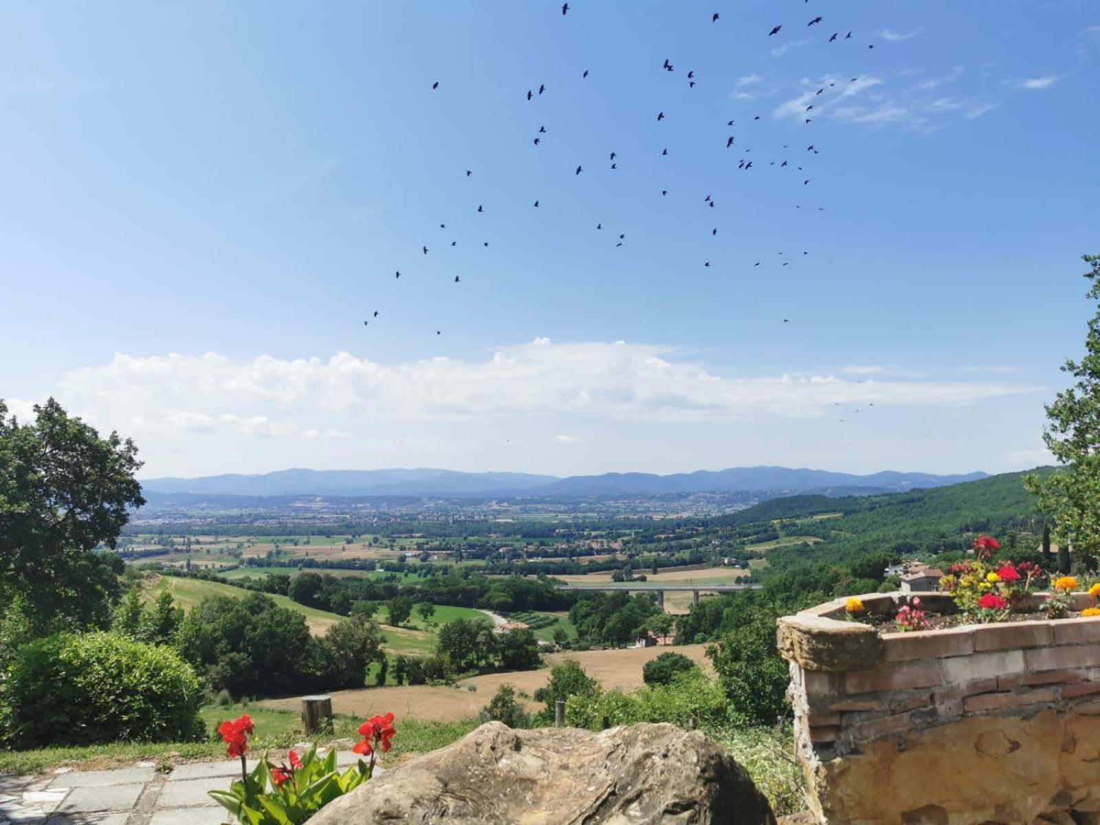 Al Podere Del Nonno Romolo سانسيبولكرو المظهر الخارجي الصورة